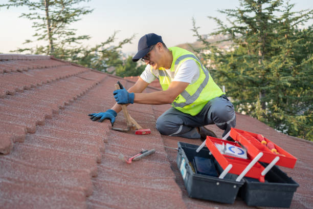 Best Roof Maintenance Services  in Littlerock, CA