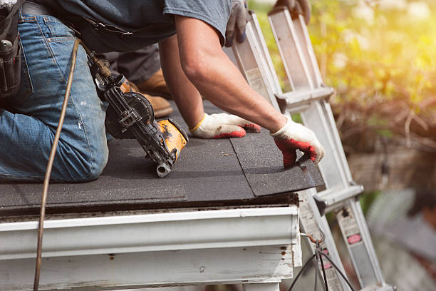 Best Roof Gutter Cleaning  in Littlerock, CA