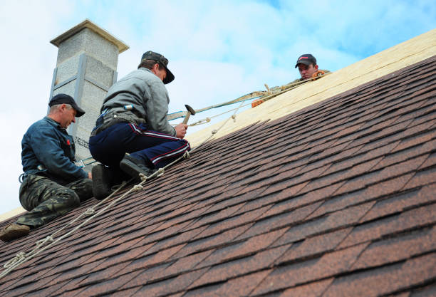 Professional Roofing Contractor in Littlerock, CA